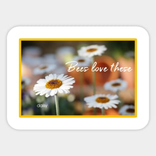 White Daisy Sticker